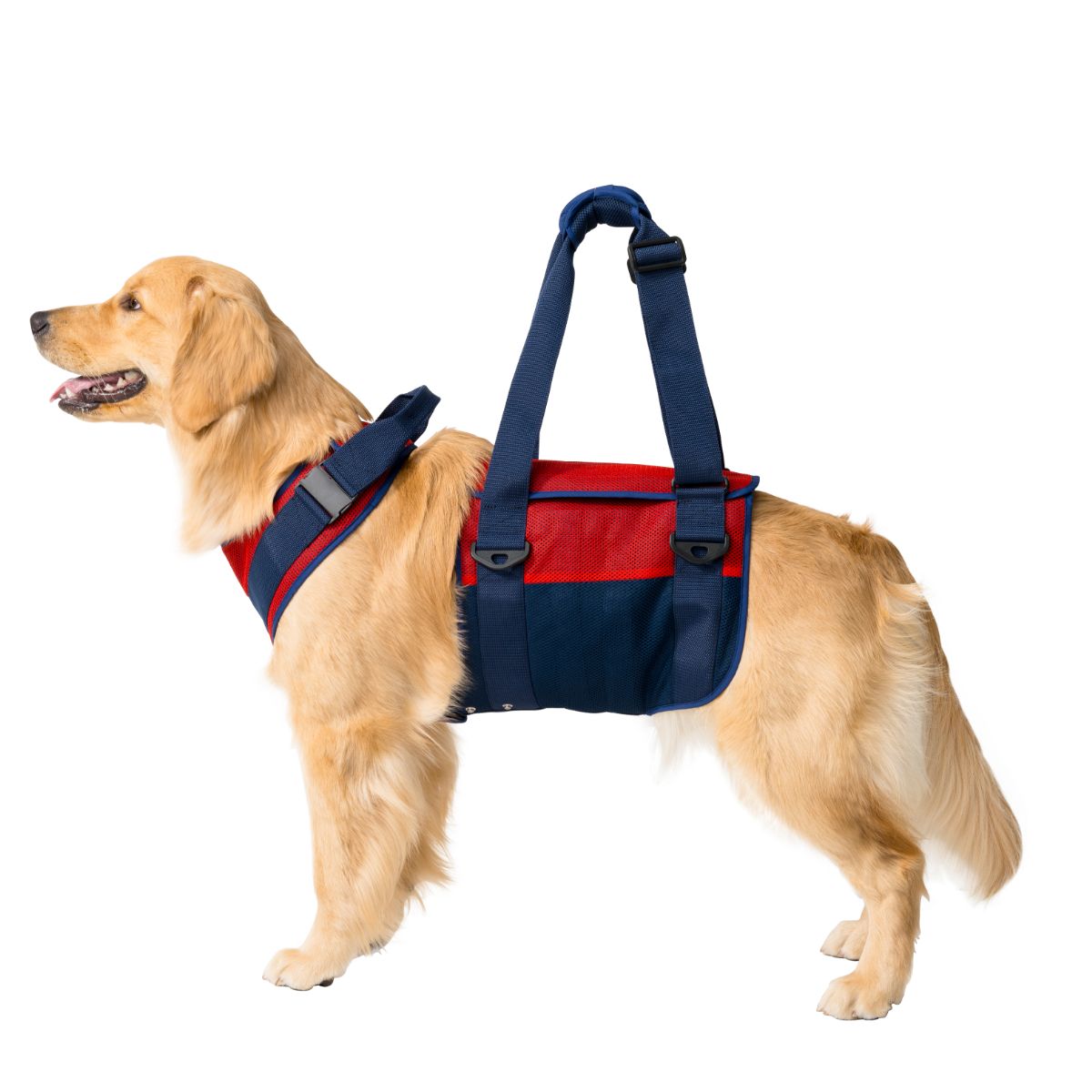 大型犬用 スカーレットメッシュ  2TA0032-85