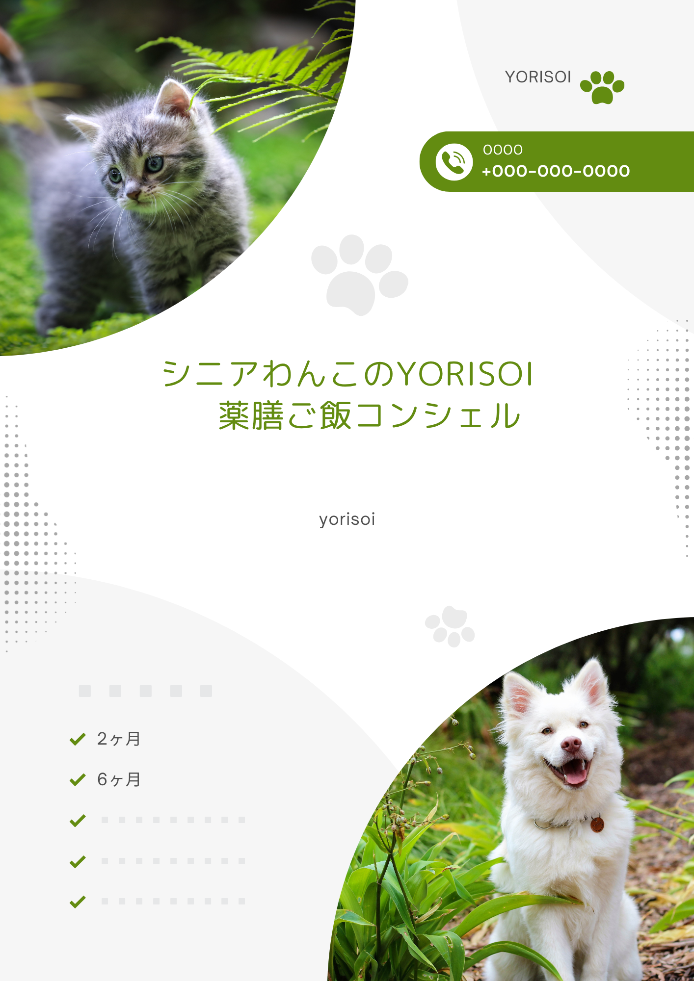 シニアわんこの養生日和　— 年齢を重ねた愛犬に寄り添う薬膳ごはん相談 —