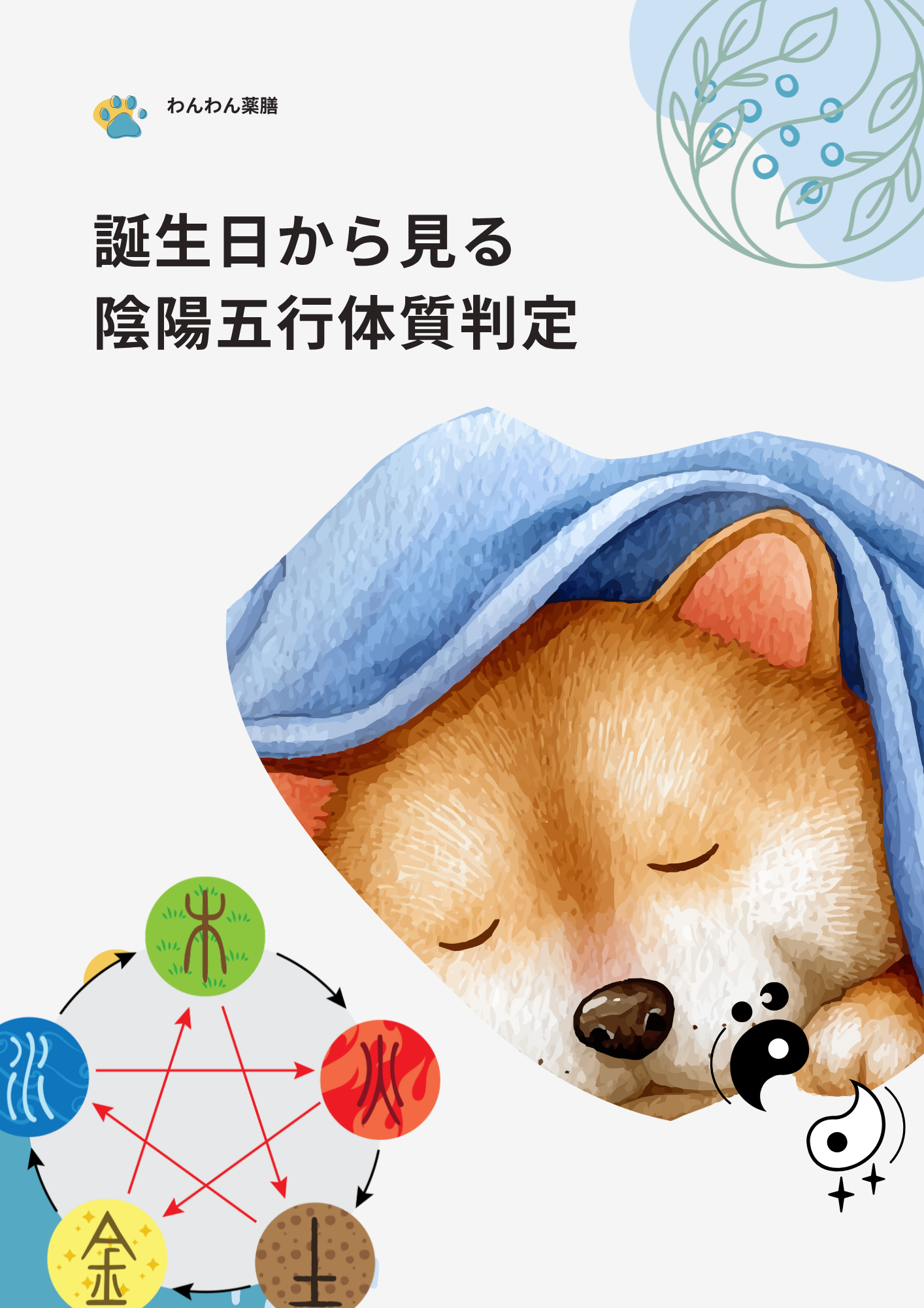 誕生日から見る陰陽五行体質判定