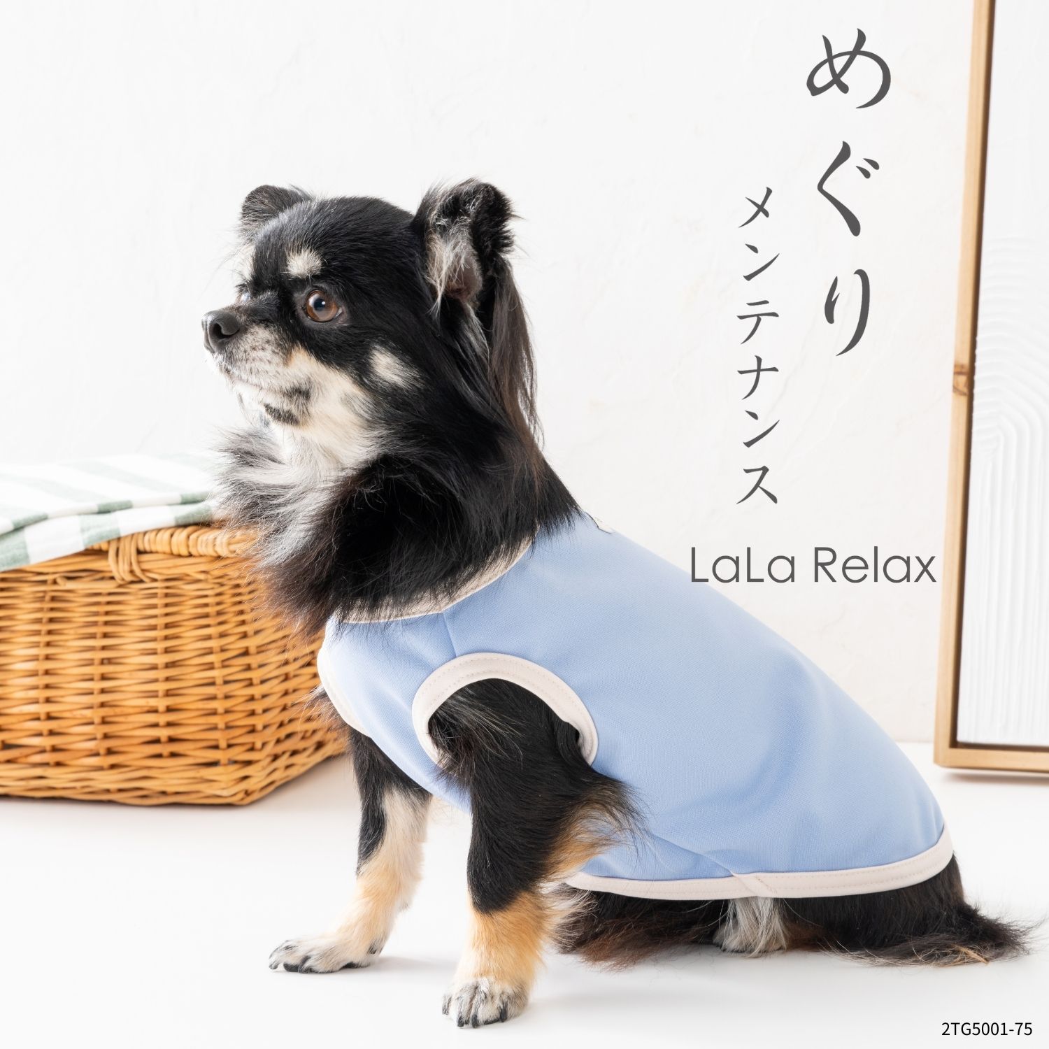 LaLaRelax ベーシック サックス 2TG5001-75